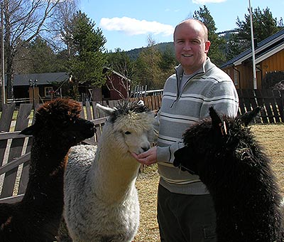 Dyrevelferd for alpakka og lama